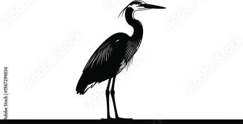 Heron Silhouette Standing on Line for Nature, Wildlife, and Birdwatching Illustration