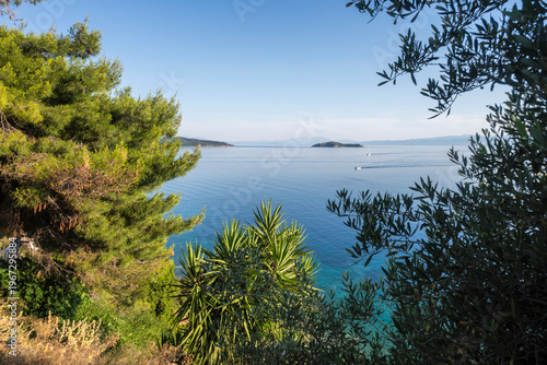 The town of Skiathos, Sporades, Thessaly, Greece