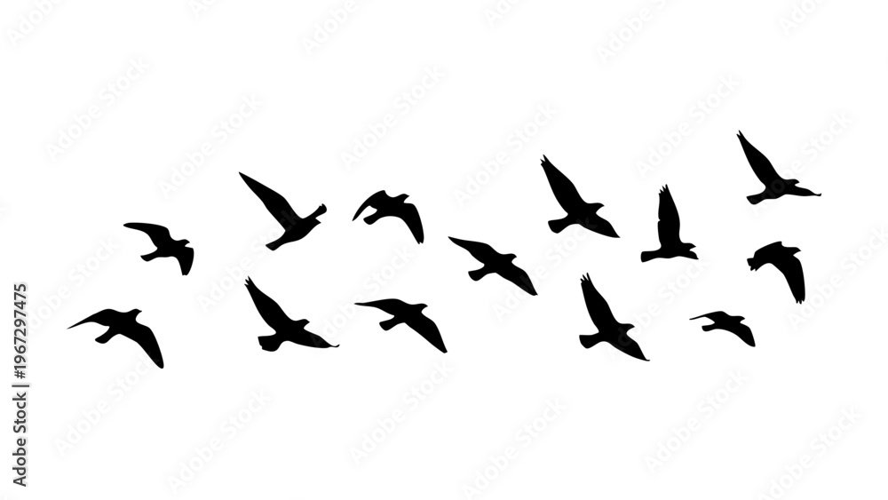 Obraz premium Flying Birds Silhouette Set Minimal Black Vector Isolated on White