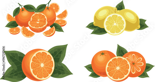 Fresh Oranges and Lemons with Sliced Fruit and Green Leaves for Healthy Food, Beverage, and Nature Designs