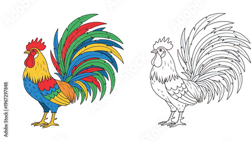 Colorful rooster vector illustration alongside a black and white outline version, perfect for kids farm animal coloring pages.