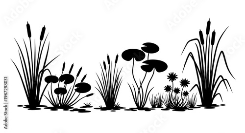 Black silhouette of aquatic plants.