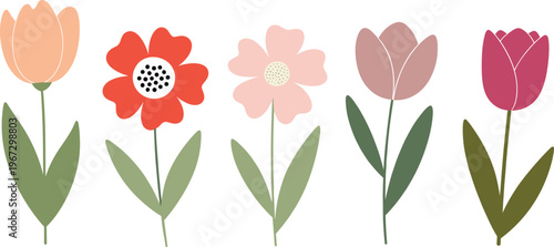 Colorful Floral Set Featuring Tulips and Flowers in Red, Pink, and Peach, Perfect for Spring, Nature, and Garden Illustrations