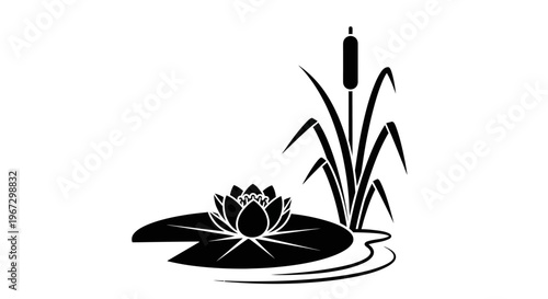 Black and white lotus flower plant.