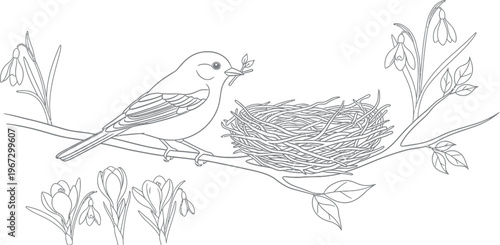 A delightful outline drawing depicts a diligent little bird carefully building its new home, a woven nest, on a budding branch amidst blooming spring snowdrop and crocus flowers.