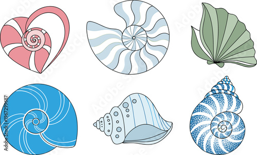 Colorful Seashell Collection Featuring Spiraled and Decorative Shell Designs, Perfect for Ocean, Beach, and Nature-Themed Illustrations