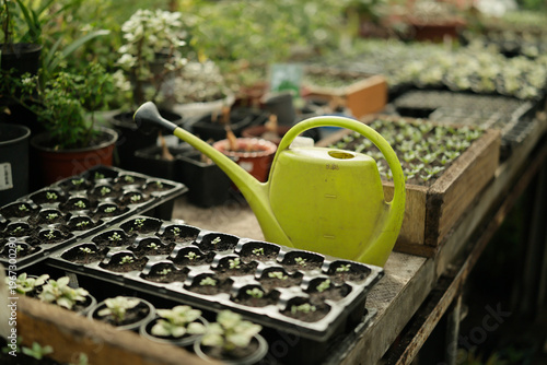 greenhouse with seedlings and green watering can. Growing seedlings and flowers