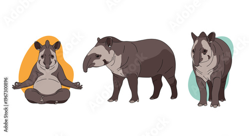 Unique tapir animals are presented in a series of poses including one sitting in a meditation pose and two others standing naturally.