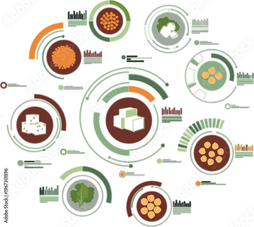 Plant based food infographic vector with circular data charts, nutrition elements, grains, legumes and tofu, healthy vegan analytics dashboard design illustration