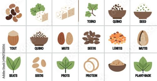 Plant based protein icons vector set with tofu, quinoa, lentils, nuts and seeds, healthy vegan nutrition symbols in minimal flat design style