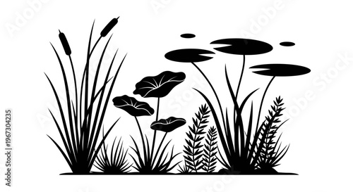 Black silhouette of aquatic plants.