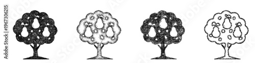 Sketch pear tree icon design set