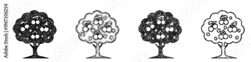 Sketch cherry tree icon design set