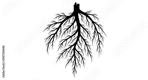 Detailed view of bronchial tree structure.