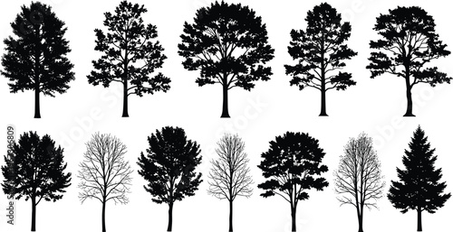 Collection of black silhouette trees in different shapes and sizes, including deciduous and evergreen varieties.
