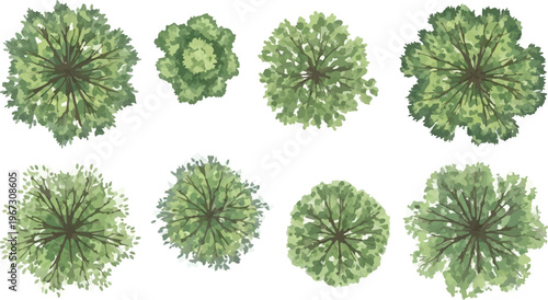 Top view tree symbols for landscape design, set of 8 green watercolor style plant icons, architectural site plan vegetation vector elements