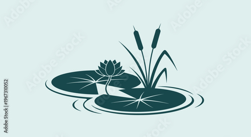Dark green lily pad plant aquatic.