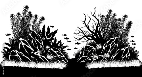 Coral Reef Ecosystem Marine Life.