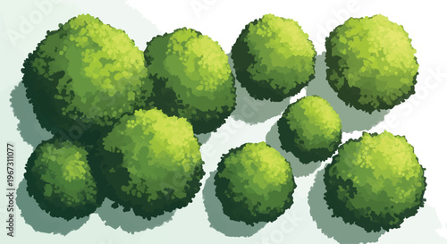 Top view green bushes and shrubbery collection, overhead garden landscape plants for architectural site plans, 8 vector vegetation elements isolated PNG with Transparent Background