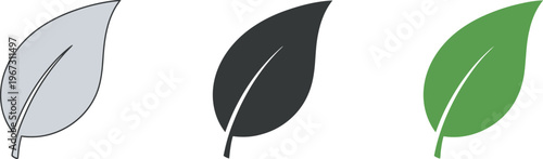 Three leaf variations a minimalist vector illustration exploring color and form in botanical design