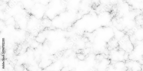 	
Luxury white and black background rock closeup limestone marble glossy wall, floor tiles slab natural surface limestone marble texture. granite luxury stone smooth polish rough texture wallpaper.