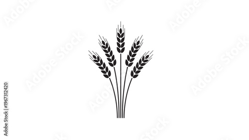 Wheat stalks black icon with delicate lines and a stylized representation of grains on a white background, symbolizing agriculture.
