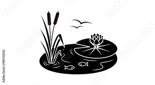 Black and white water lily pond.