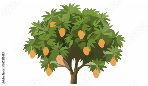 Mango Tree with Fruits Tropical Plant Vector Illustration