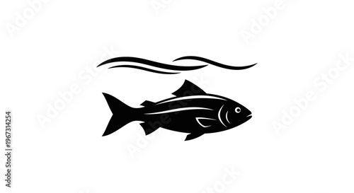 Black fish swimming in water.