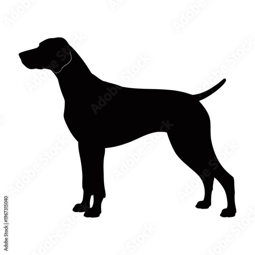 Sleek vector silhouette of a standing dog in profile view highlighting its posture