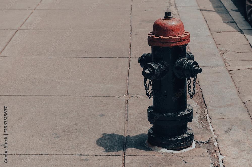 Fototapeta premium fire hydrant in the street