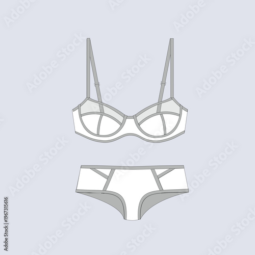 Sheer Panel Womens Lingerie Set