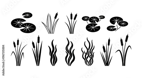 Black and white cattail water plants.