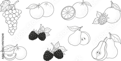Hand-Drawn Fruit Collection with Grapes, Oranges, Pears, and Blackberries for Illustrations, Food Design, and Graphic Projects