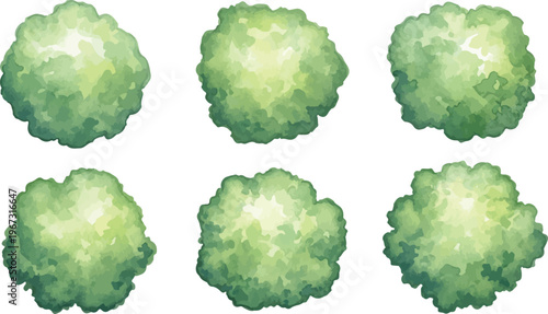 Watercolor tree top view collection, set of 6 green plant symbols for landscape design, architectural site plan vegetation icons in vector format isolated PNG with Transparent Background