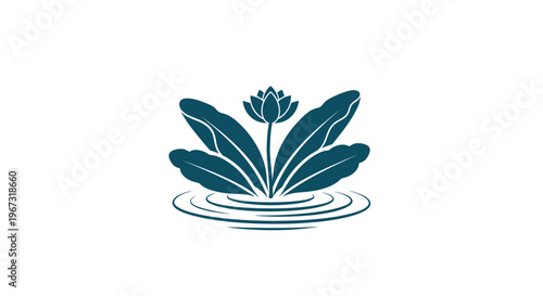 Water Lily Plant Flower Blooming.