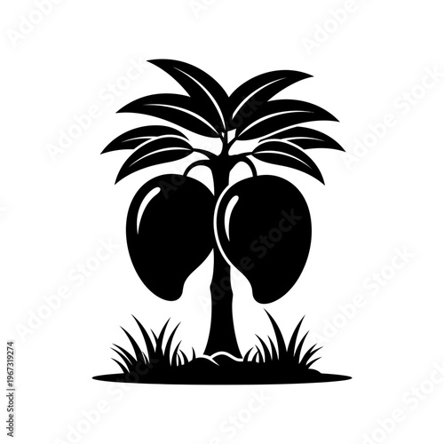Black and white illustration of a mango tree with two ripe mangoes hanging from its branches.