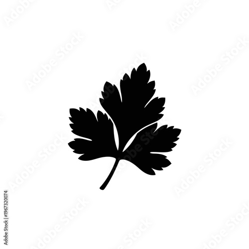 Black silhouette of a parsley leaf isolated on white background.
