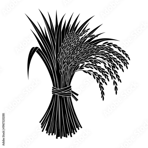 Detailed illustration of a bundle of rice stalks ready for harvest tied together.