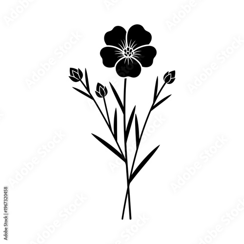 Elegant silhouette of a flax flower with delicate petals and buds.