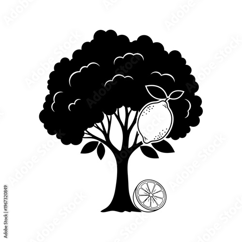 Lemon tree illustration with fruit and slice black and white artwork.