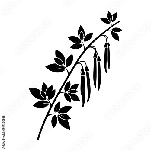 Elegant silhouette of a pea plant branch with leaves and pods black and white.