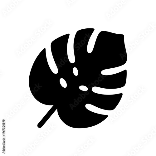 Monstera leaf silhouette a tropical plant with unique fenestrations black and white.