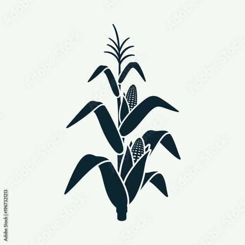 Detailed illustration of a corn plant with ripe ears and leaves.