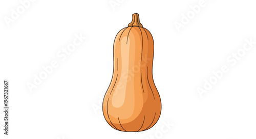 Single ripe butternut squash with a smooth tan skin and characteristic bell shape standing vertically against a clean white background.