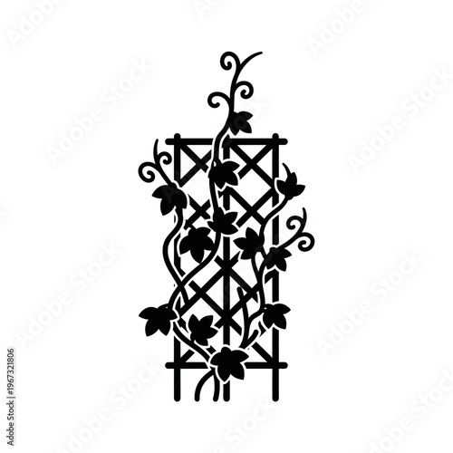 Elegant trellis design with climbing ivy perfect for garden decor and landscaping.