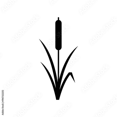 Silhouette of a cattail plant with long slender leaves against white background.