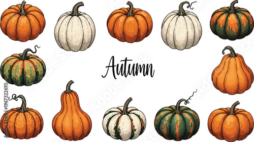Autumn Pumpkin Collection Featuring Various Pumpkin Shapes, Colors, and Seasonal Harvest Elements for Fall Decor and Illustrations