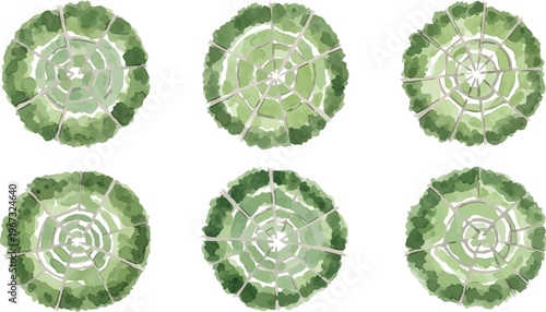 Watercolor tree top view collection, 6 green landscape architecture symbols for site plans, hand painted garden plant icons, organic nature vector set