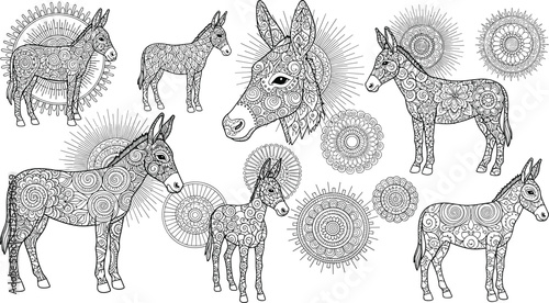 Ornate donkey illustrations with intricate mandala patterns, decorative burro animals and circular ornaments in detailed black and white vector style